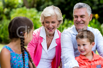 Grandparents relaxing with grandchildren at yard