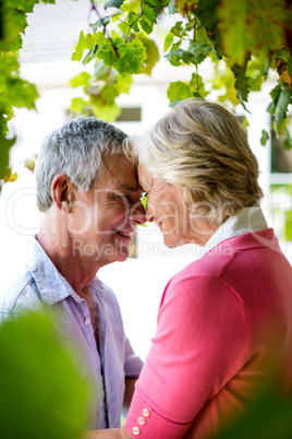 Senior couple standing face to face at yard