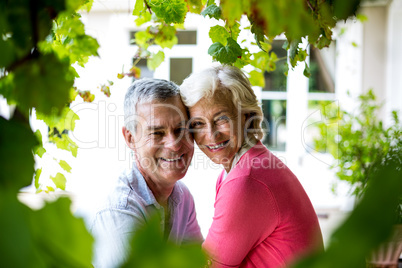 Portrait of smiling senior couple standing in yard