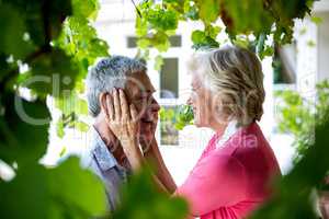 Senior woman embracing man in yard