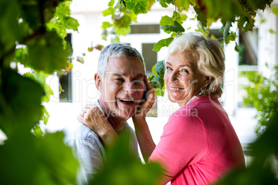 Portrait of happy senior couple standing in yard
