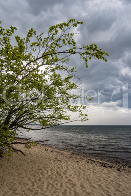 Ostseeküste auf der Insel Rügen