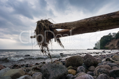 Ostseeküste auf der Insel Rügen