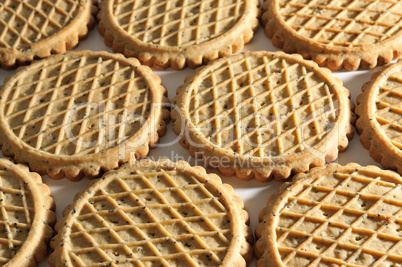 Background of biscuits in shape of circle