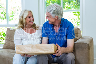 Happy senior couple holding parcel while sitting at home