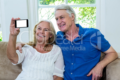 Cheerful senior couple taking selfie at home