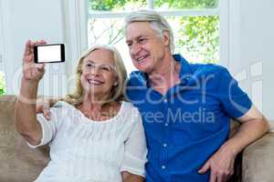 Cheerful senior couple taking selfie at home