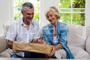 Happy senior couple holding parcel and debit card at home