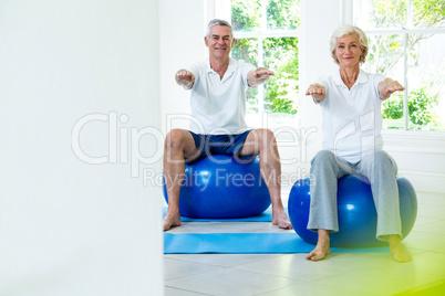 Portrait of smiling senior couple on ball