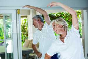 Senior couple doing aerobics