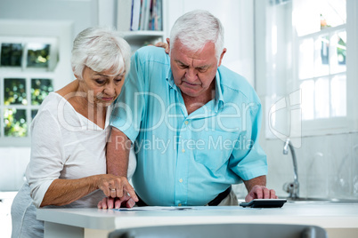 Senior man and woman calculating finance