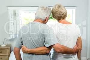 Rear view of senior couple standing against window