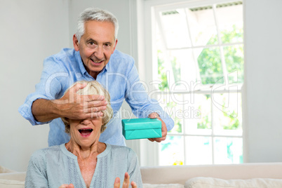 Portrait of senior man gifting woman at home