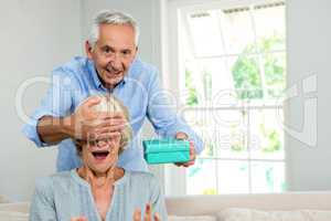 Portrait of senior man gifting woman at home