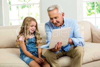 Smiling granddad and girl using laptop