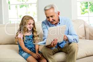 Smiling granddad and girl using laptop