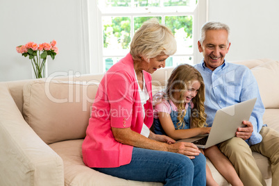 Happy grandparents and girl using laptop