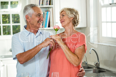 Smiling senior man giving rose to woman