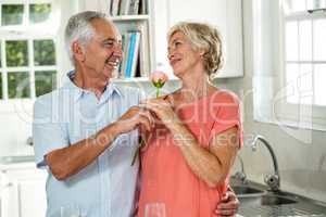 Smiling senior man giving rose to woman