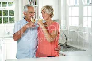 Happy retired couple drinking white wine