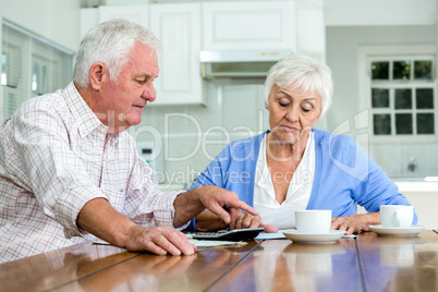 Senior couple with documents while sitting at table