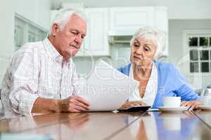 Happy couple with documents while sitting at table