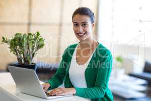 Beautiful woman using laptop