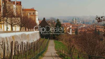 Walking Down an Orchard in Prague Old Town with a Panoramic View