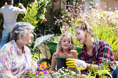Grandmother, mother and daughter gardening together