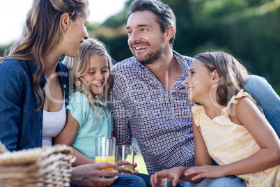 Happy family having a picnic