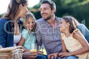 Happy family having a picnic