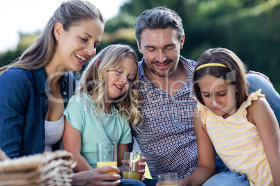 Family having a picnic