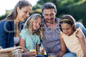 Family having a picnic