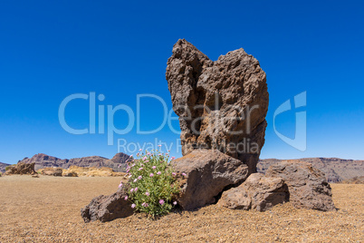 Landschaft auf Teneriffa