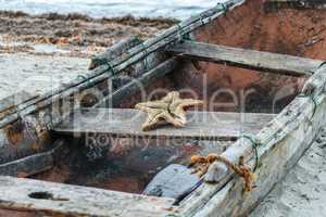 Old boat with starfish