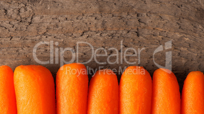 Fresh carrots in a row