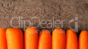 Fresh carrots in a row