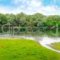 plain river with inflows and floodplain forest