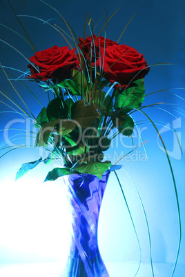 rose in blau