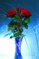 rose in blau