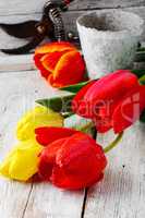 bouquet of cut tulips