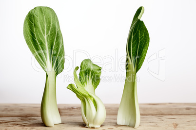 Fresh Bok Choy