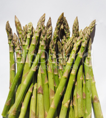 Green Asparagus vegetables