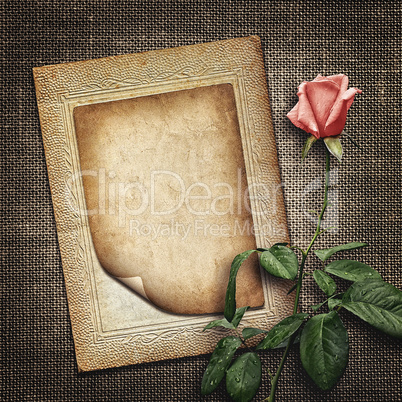 Card for invitation or congratulation with pink rose
