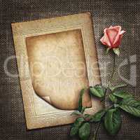 Card for invitation or congratulation with pink rose