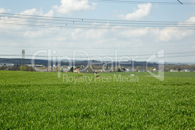 Power line over farmland