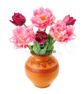 tulips in a vase isolated on white background