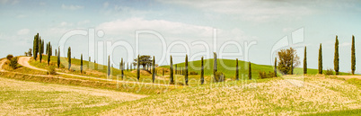 Fields in Tuscany