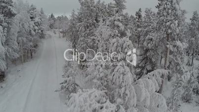 Aerial view of winter camp in pine forest