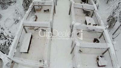 Aerial view of dogs in cages on winter day